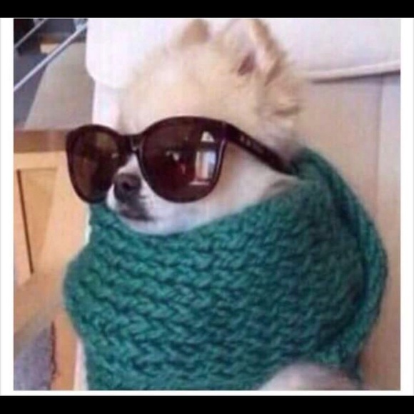 Meet your Posher, Kathleen - Picture 2 of 2